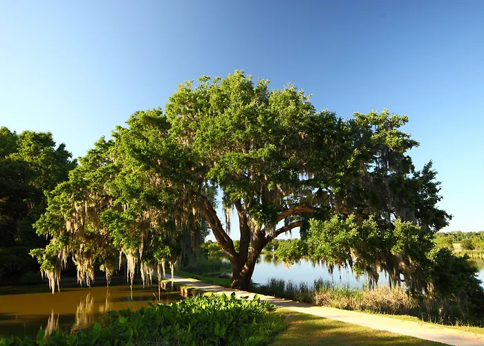 Resort The At Middleton Place 3*